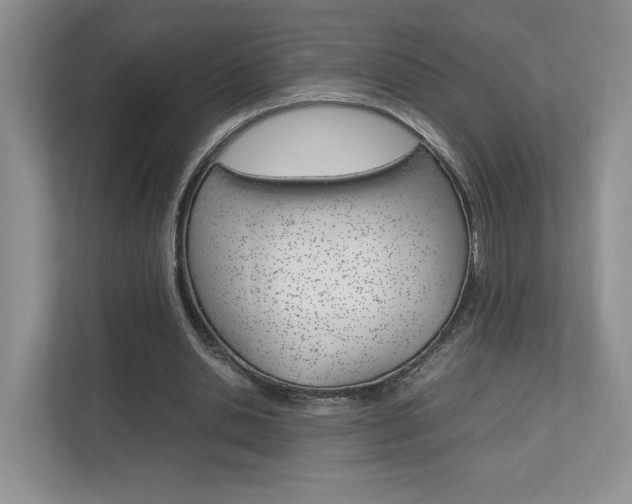 X0000112830438200908210942