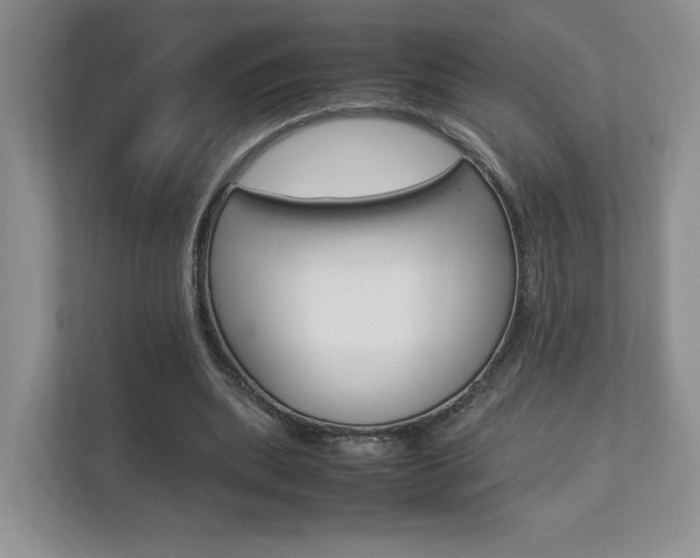 X0000112830439200908210942