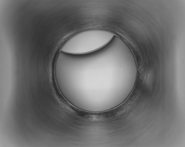 X0000112830442200908210942