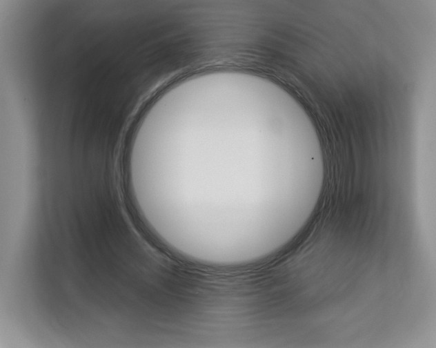 X0000112830444200908210942