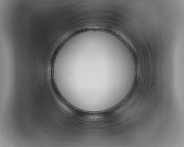 X0000112830445200908210942