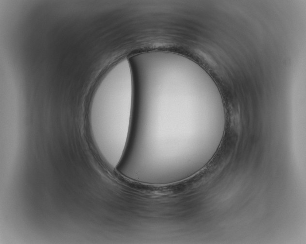 X0000112830447200908210942