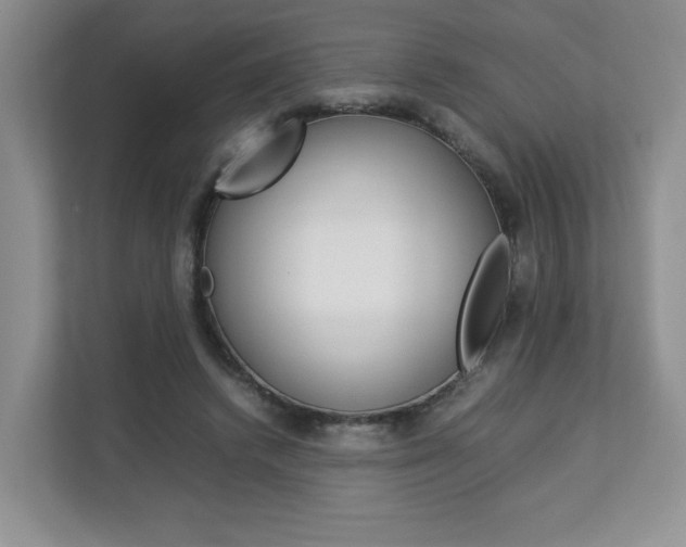 X0000112830448200908210942