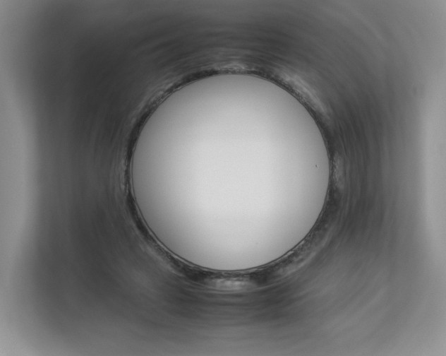 X0000112830449200908210942