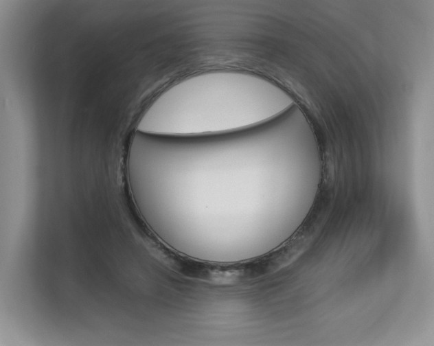 X0000112830450200908210942