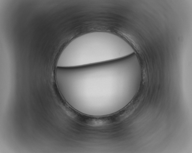 X0000112830453200908210942