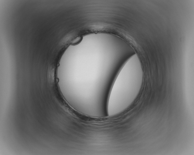 X0000112830454200908210942