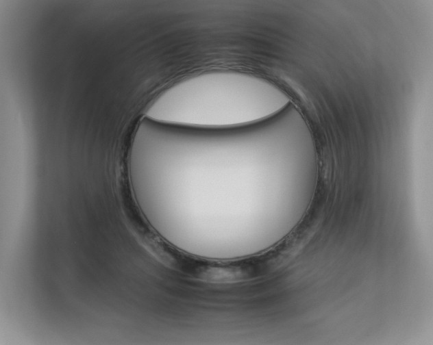 X0000112830455200908210942