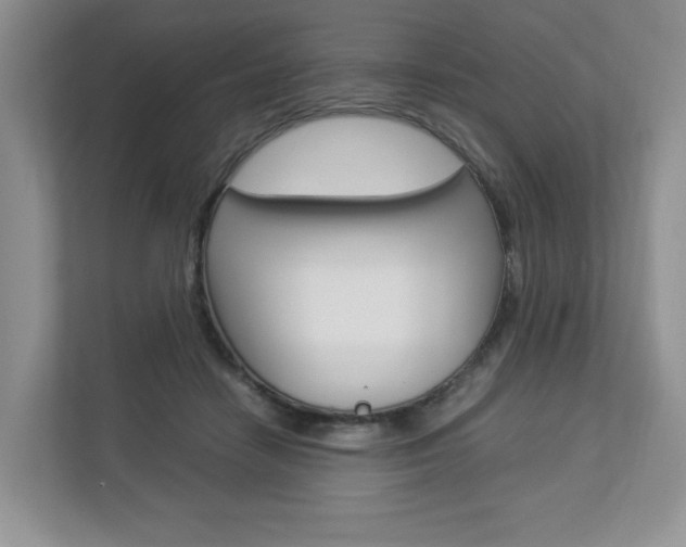 X0000112830458200908210942