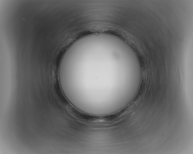 X0000112830460200908210942
