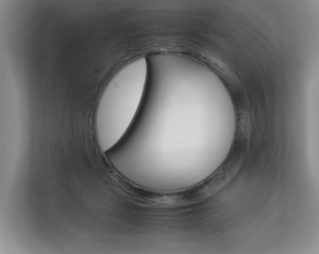 X0000112830461200908210942