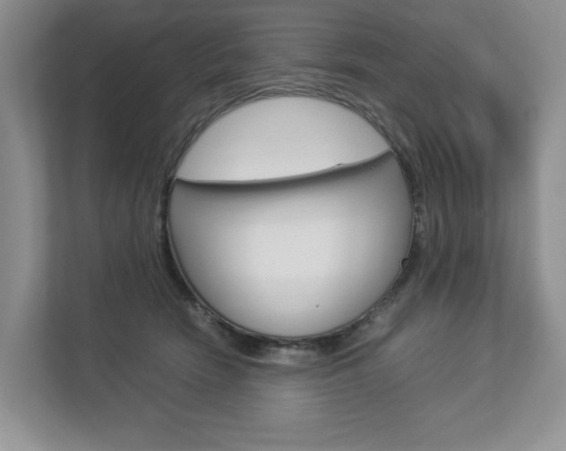X0000112830466200908210942