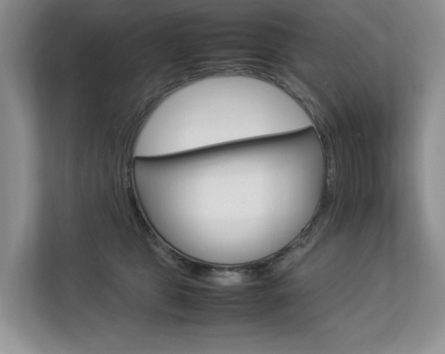 X0000112830469200908210942