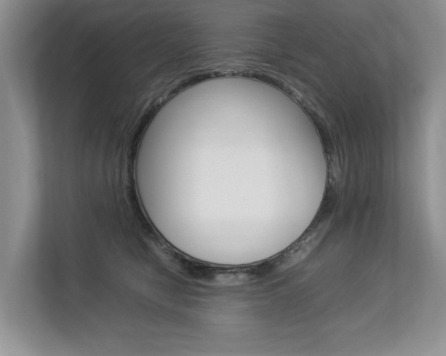 X0000112830470200908210942