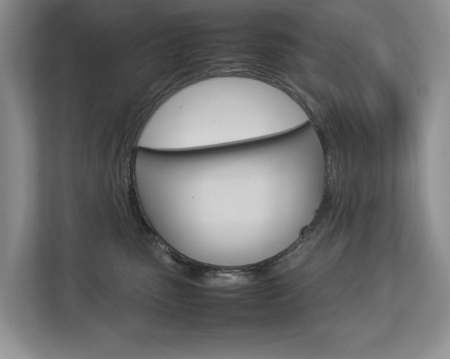 X0000112830475200908210942