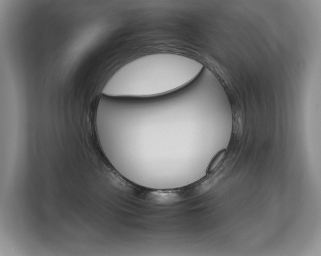 X0000112830477200908210942