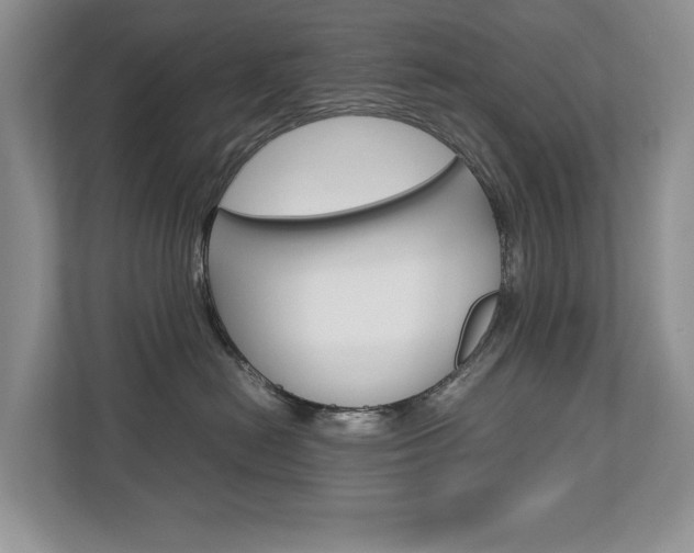 X0000112830478200908210942