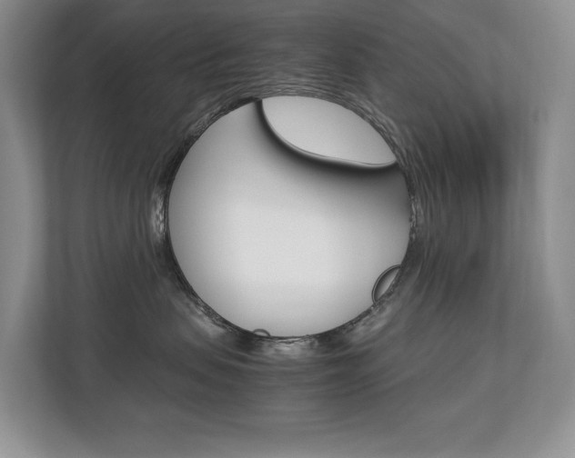 X0000112830479200908210942