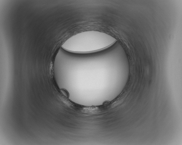X0000112830480200908210942