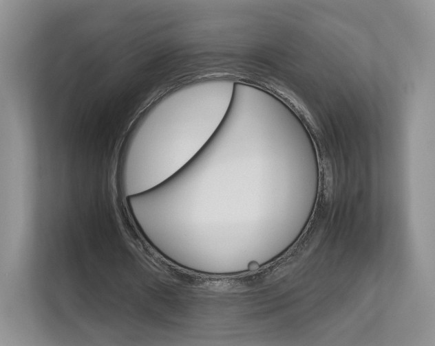 X0000112830482200908210942