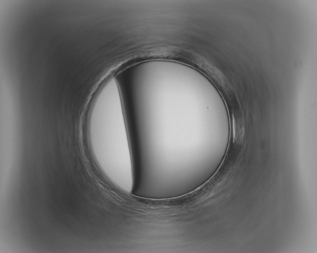 X0000112830483200908210942