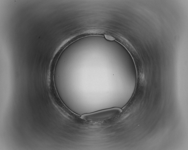 X0000112830484200908210942