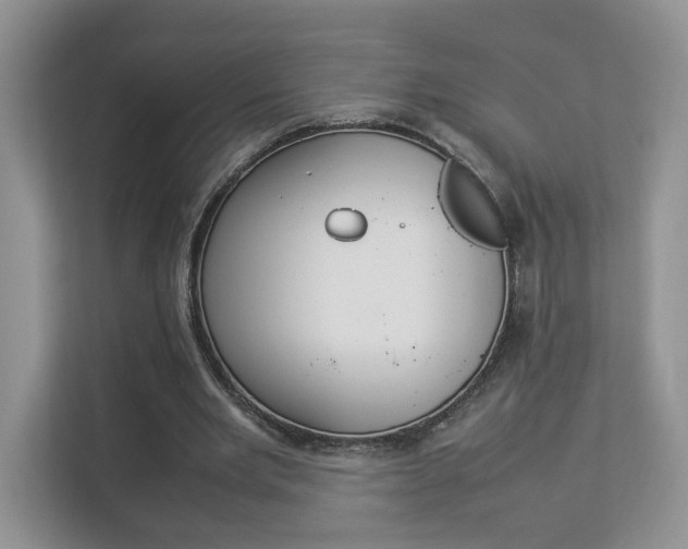 X0000112830485200908210942