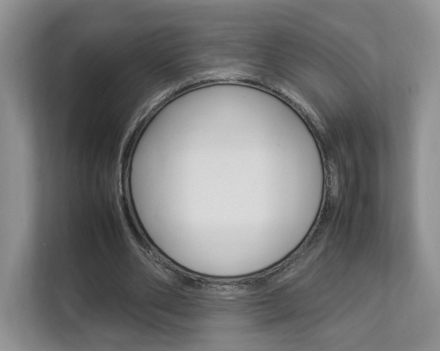 X0000112830486200908210942