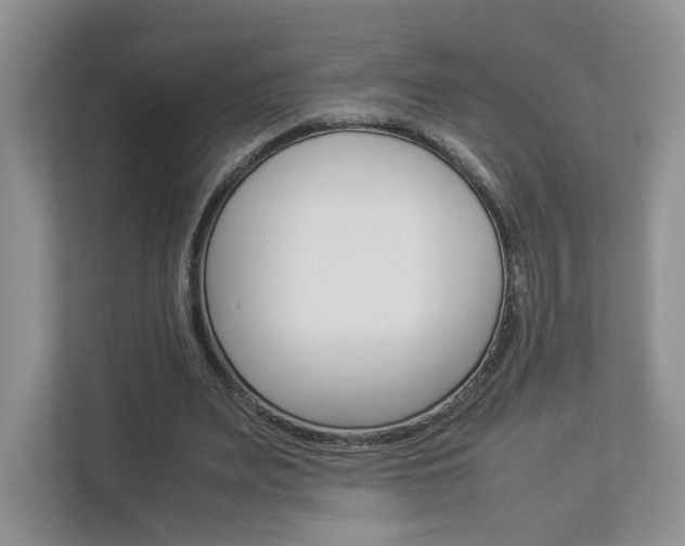 X0000112830487200908210942
