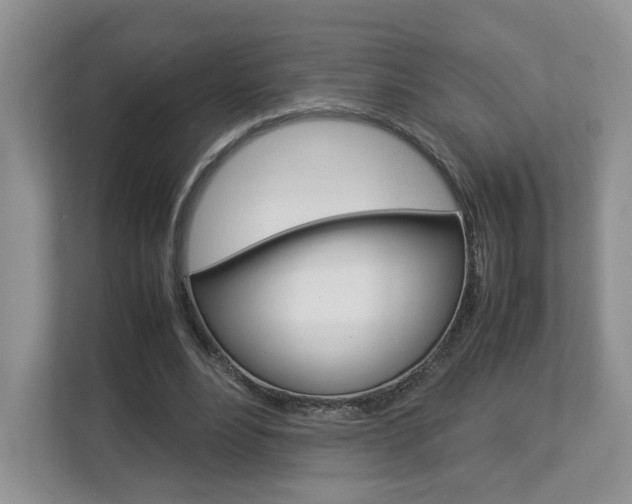 X0000112830488200908210942