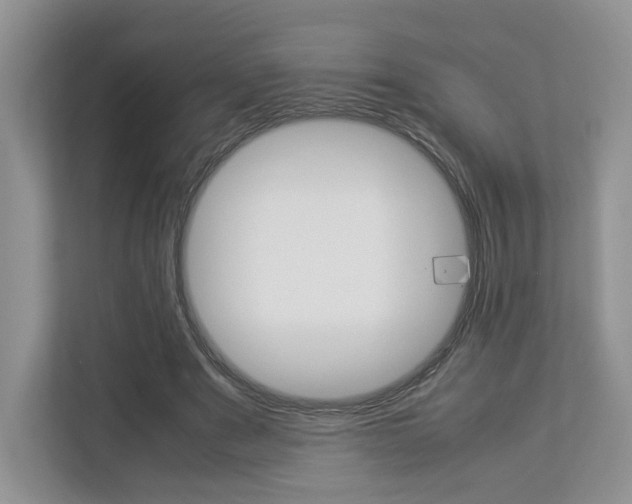 X0000112830489200908210942