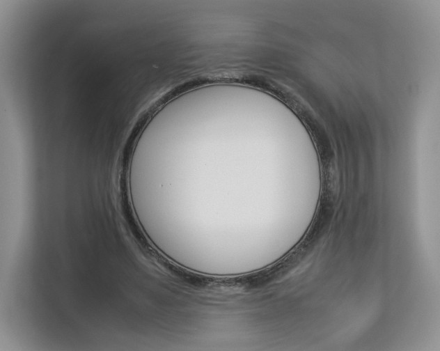 X0000112830491200908210942