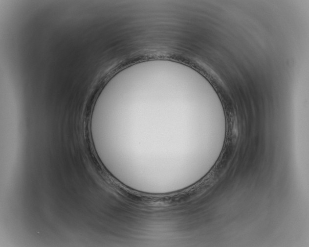 X0000112830494200908210941
