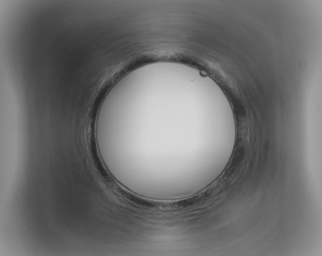 X0000112830495200908210941