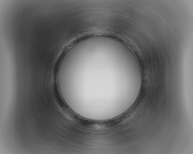 X0000112830496200908210941