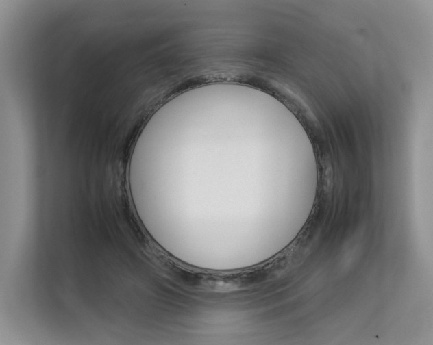X0000112830498200908210941