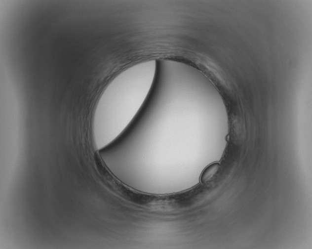 X0000112830499200908210941