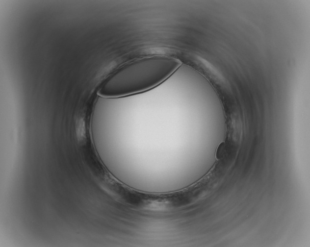 X0000112830500200908210941
