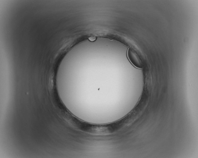 X0000112830501200908210941