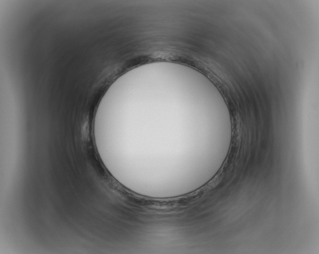 X0000112830502200908210941