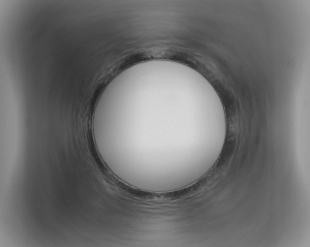 X0000112830503200908210941