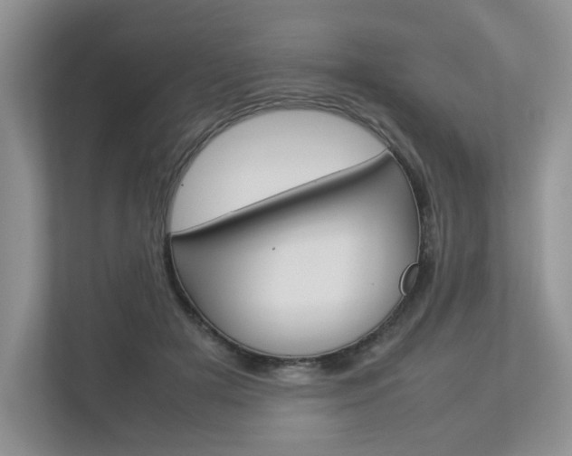 X0000112830505200908210941