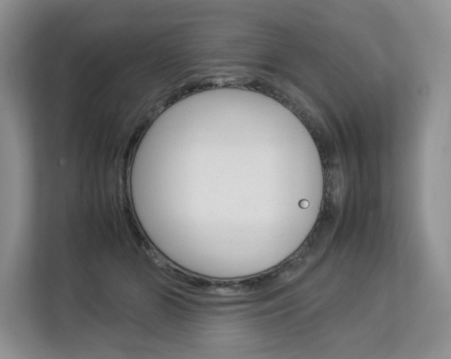 X0000112830510200908210941