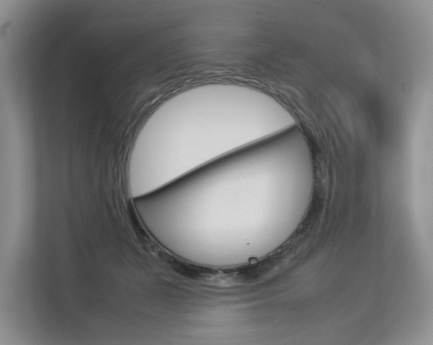 X0000112830511200908210941