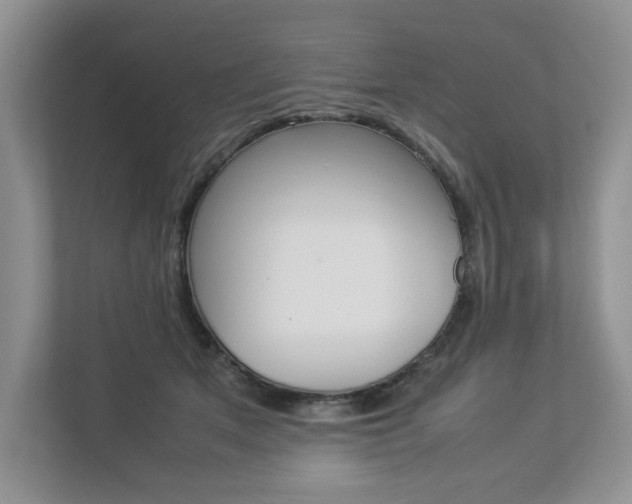 X0000112830513200908210941