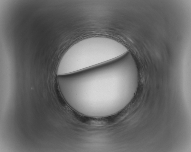 X0000112830515200908210941