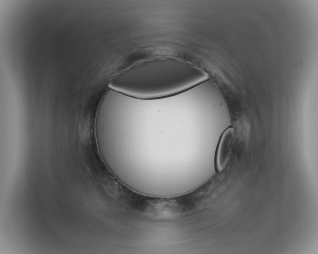 X0000112830517200908210941