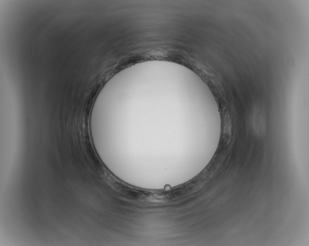 X0000112830518200908210941