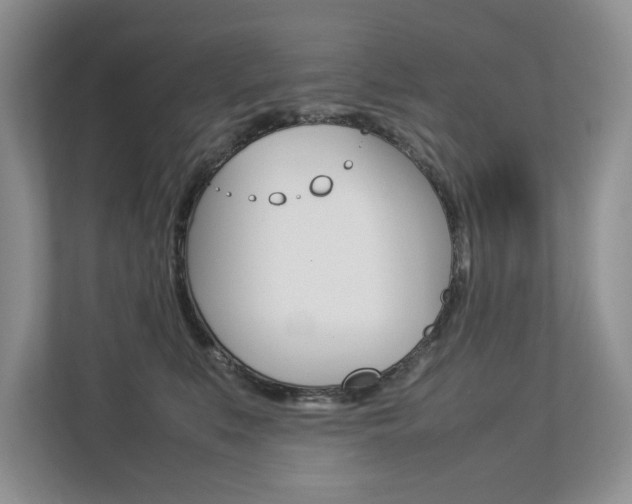 X0000112830519200908210941