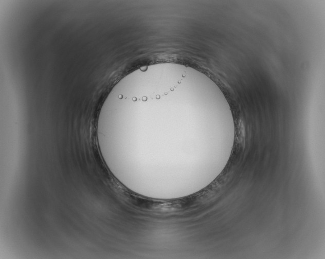X0000112830522200908210941